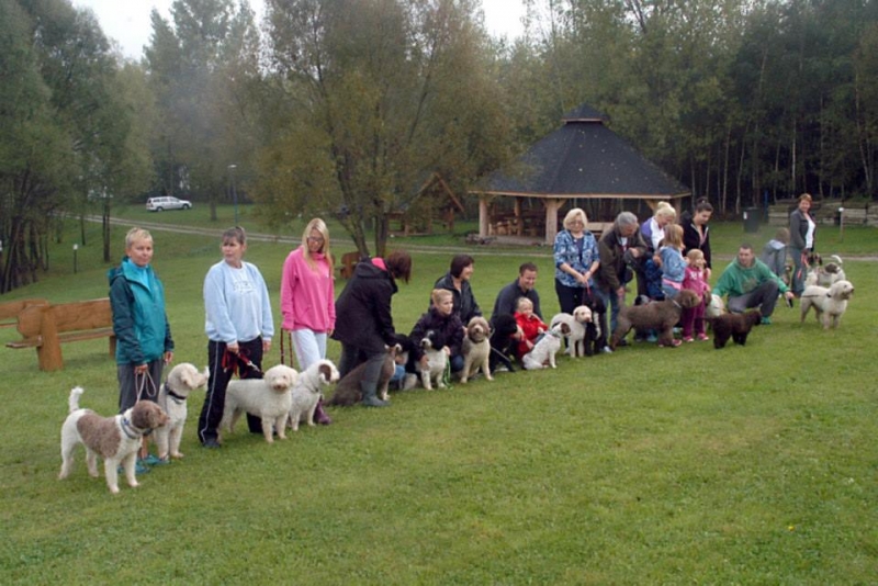 VI - Meeting of the Polish Spanish Dog family