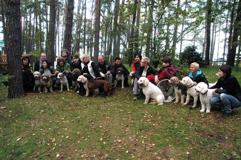 V - Meeting of the Polish Spanish Dog family