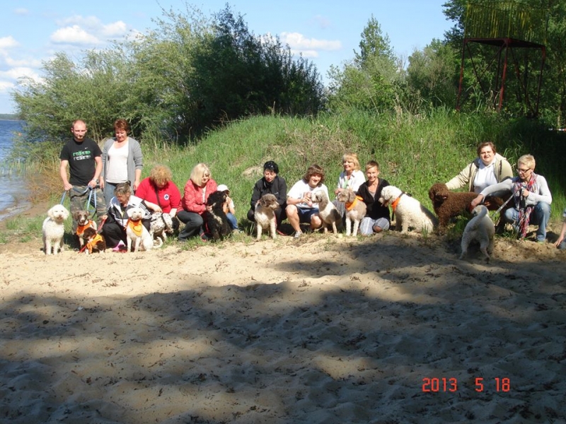 IV - Meeting of the Polish Spanish Dog family
