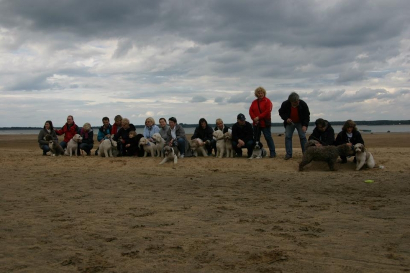 III - Meeting of the Polish Spanish Dog family